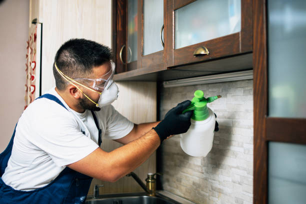 Best Wildlife Control Services  in Scottsboro, AL