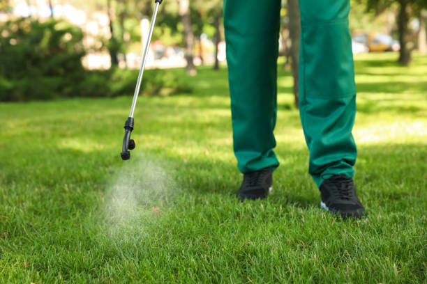 Best Cockroach Control Services  in Scottsboro, AL