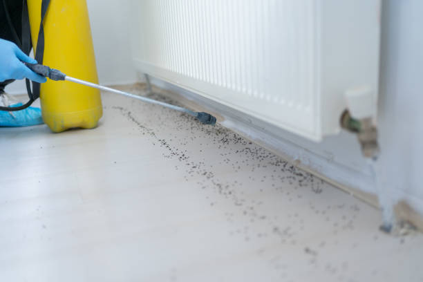 Best Affordable Pest Control Services  in Scottsboro, AL