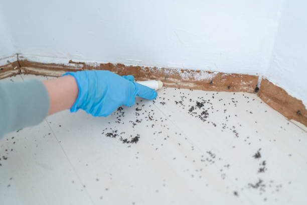 Scottsboro, AL Pest Control Company