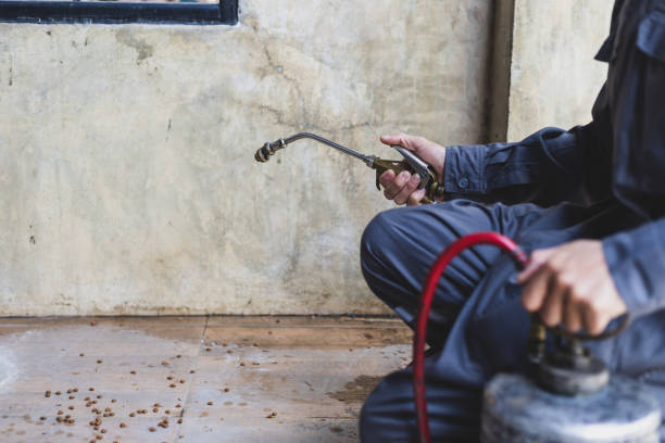 Best Affordable Pest Control Services  in Scottsboro, AL